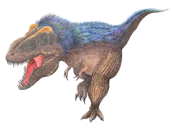 やまがたを遊ぶ ティラノサウルスを描いてみた 恐竜イラスト