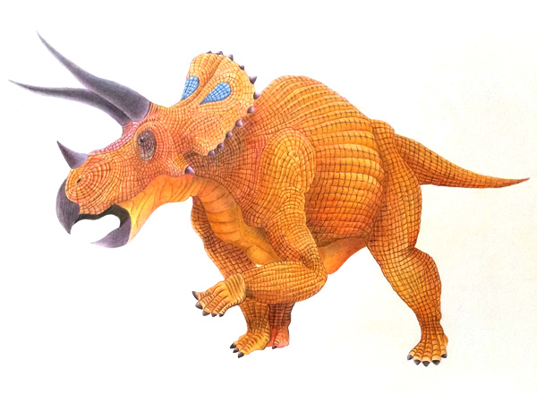 やまがたを遊ぶ トリケラトプスを描いてみた 恐竜イラスト